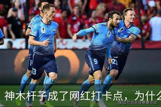 神木杆子成了网红打卡点，为什么要围起来？