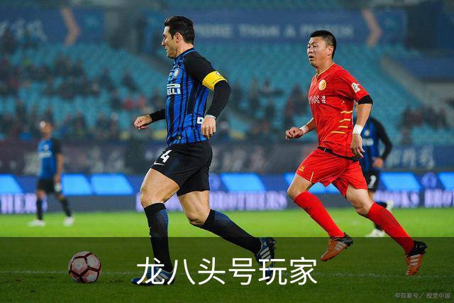 龙八头号玩家公司简介
